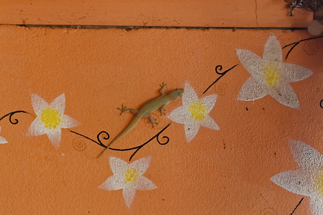 Anniversaire Potter-048